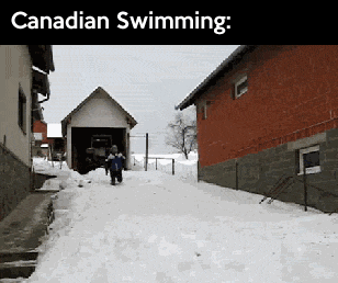 funny-gif-Canada-different-swimming (1)